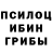Псилоцибиновые грибы Psilocybine cubensis brook woods