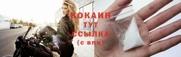 дживик Абинск