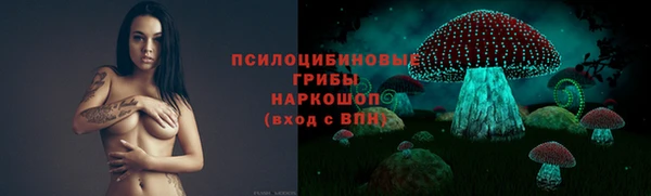 ПСИЛОЦИБИНОВЫЕ ГРИБЫ Алзамай