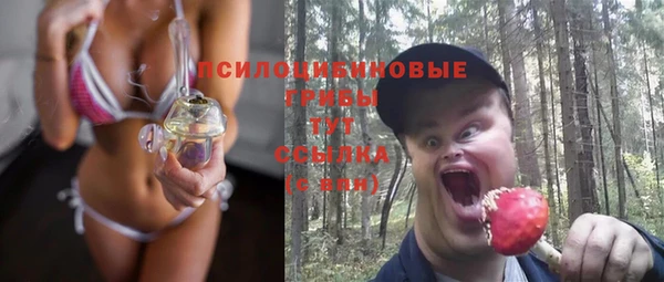 дживик Абинск
