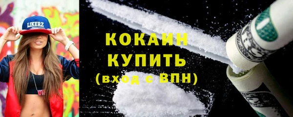 индика Нефтегорск