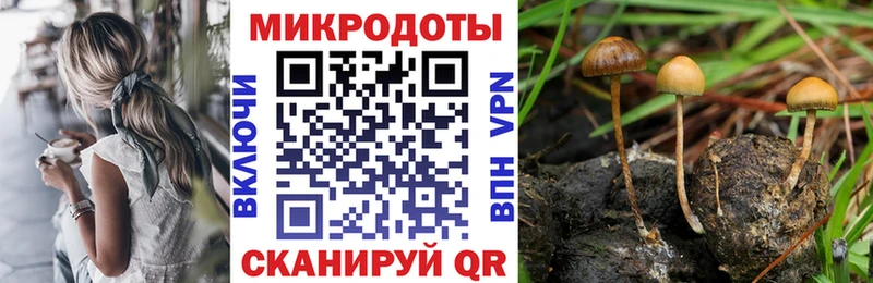 Галлюциногенные грибы GOLDEN TEACHER  Черкесск 
