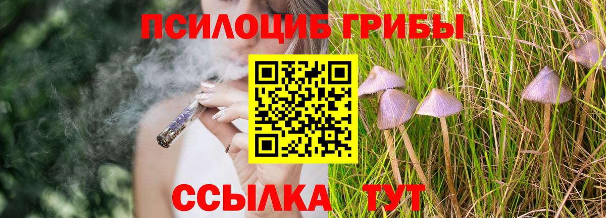 Галлюциногенные грибы мицелий Черкесск