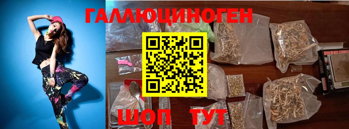 Черкесск  Псилоцибиновые грибы MAGIC MUSHROOMS  Вход с VPN  Псилоцибиновые грибы GOLDEN TEACHER 